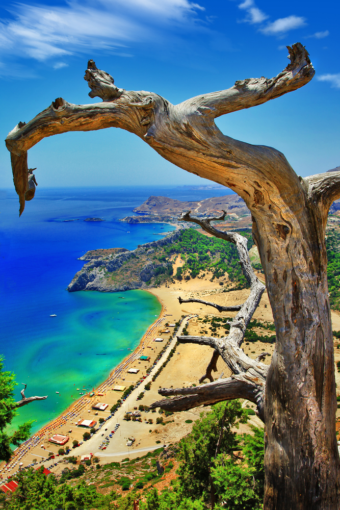 Реле rodos 9