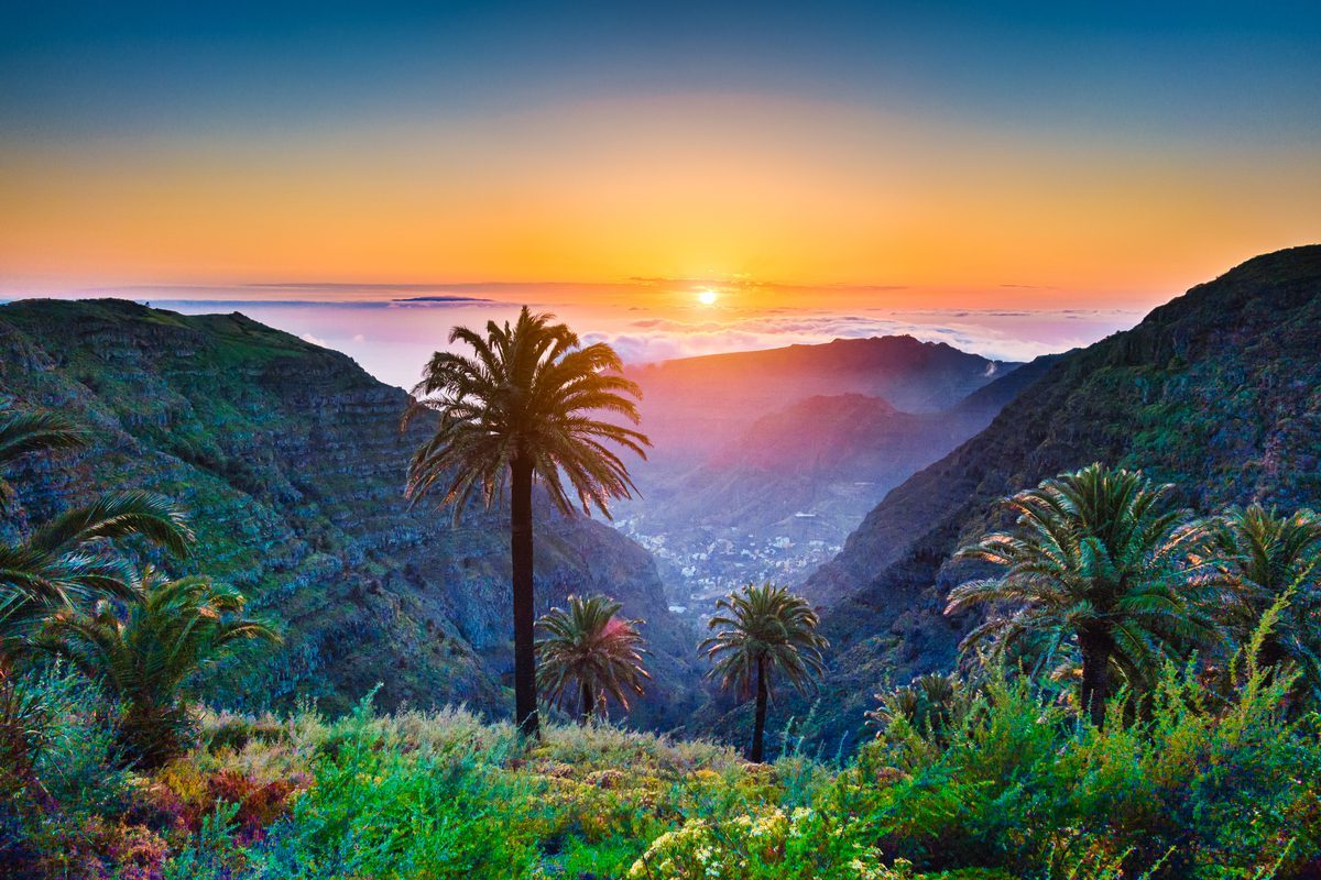 la palma