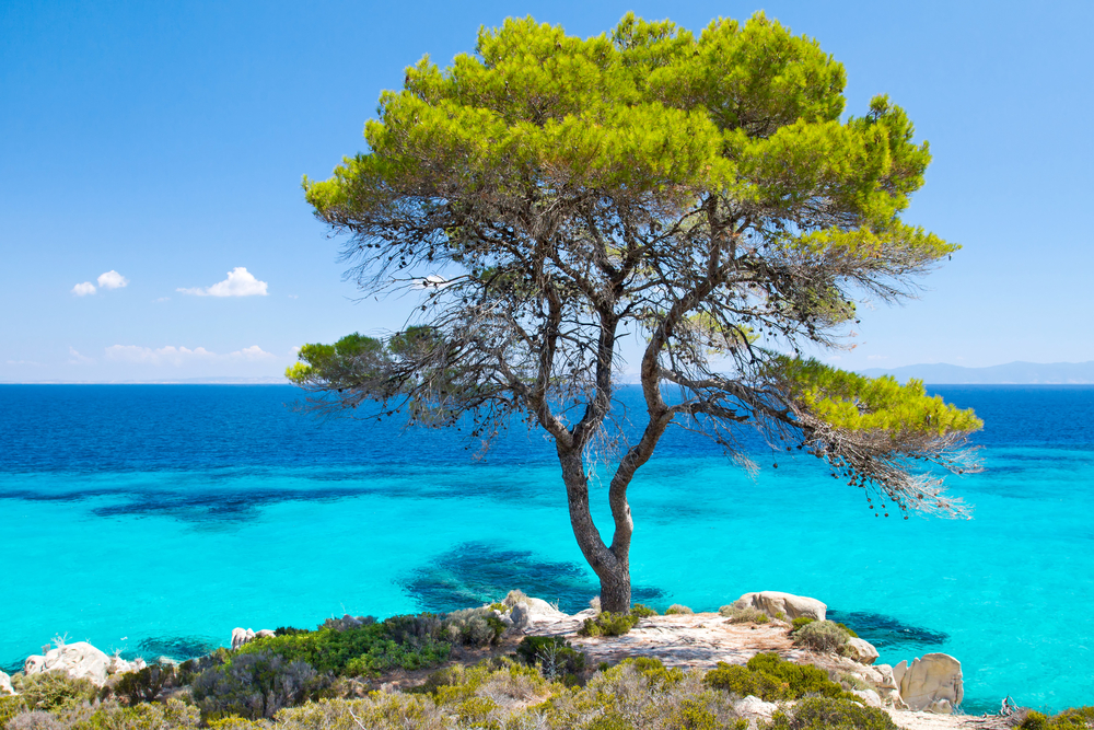 chalkidiki